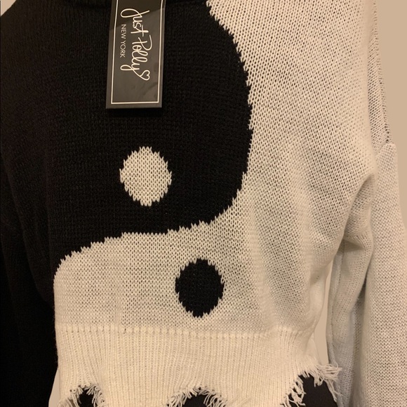 Just Polly Ripped and Distressed Crop Sweater - Picture 12 of 13